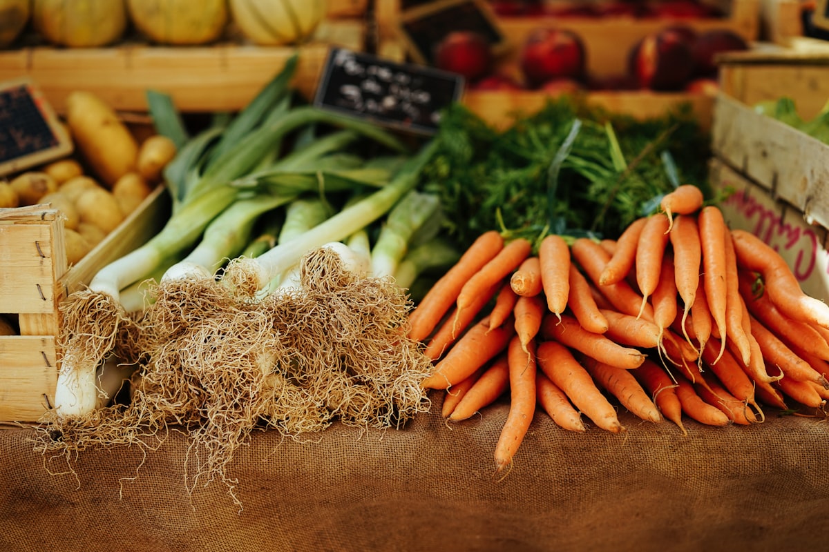 Foods to Include in Your Daily Diet